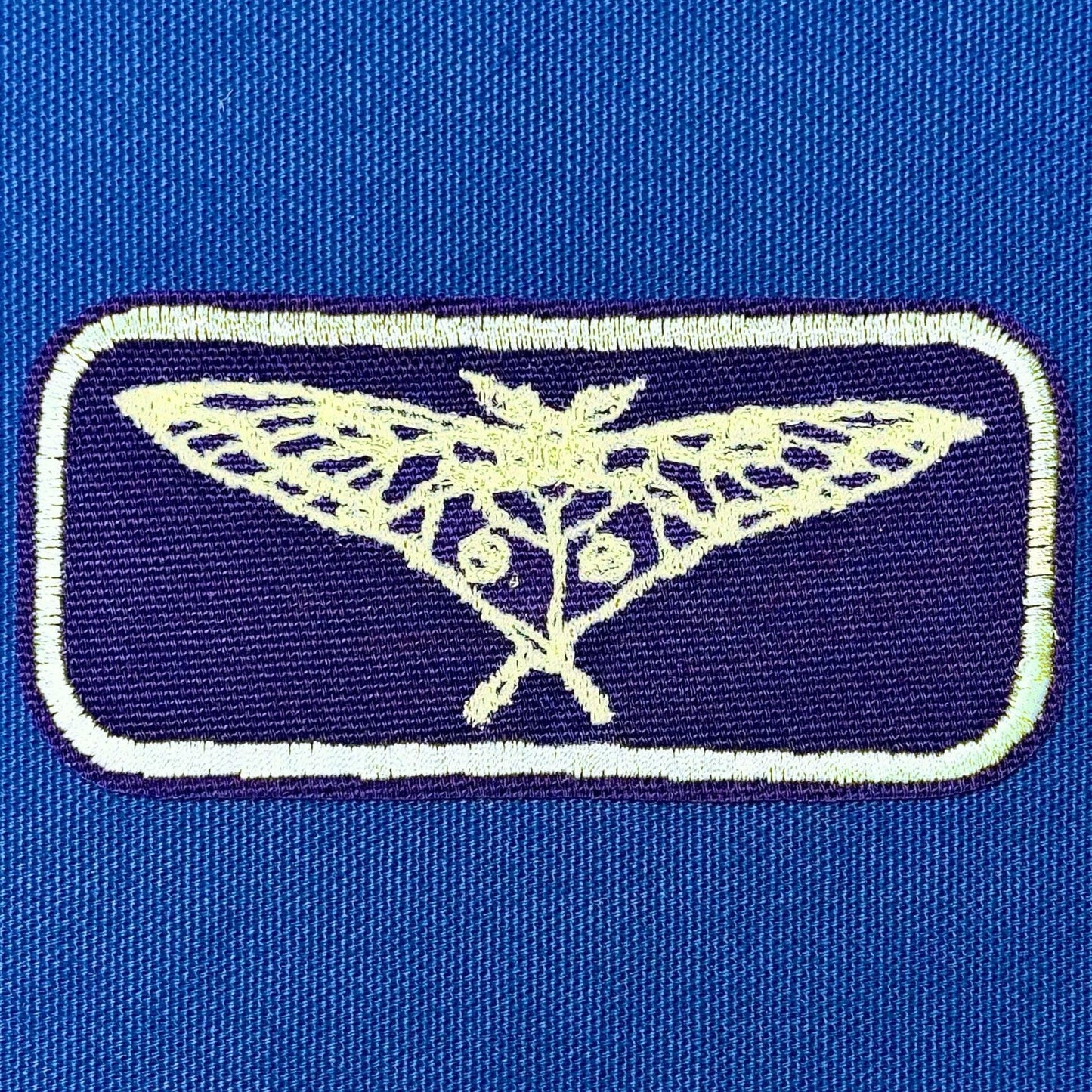 moth iron on patch | bug lover patch | vintage style patch