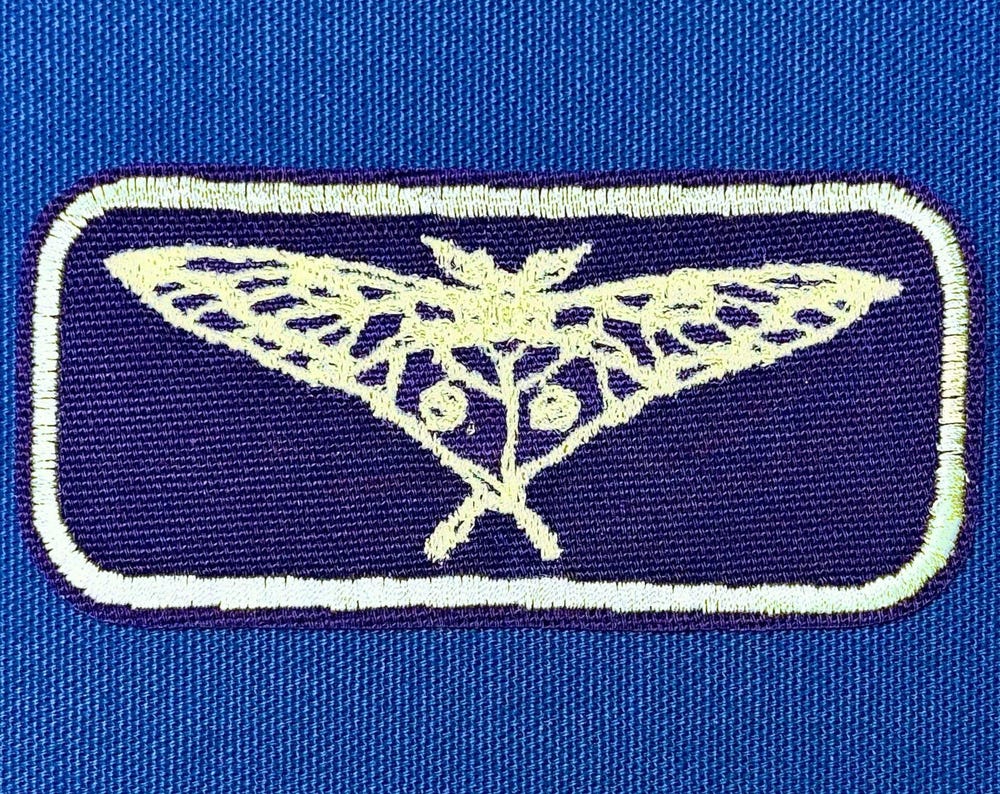 moth iron on patch | bug lover patch | vintage style patch